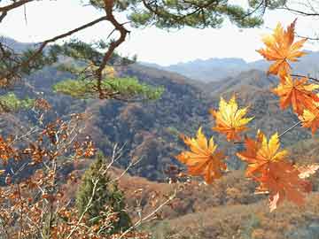 勾魂夺魄表情包(勾魂夺魄表情包)